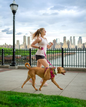 Image post by @aliontherun1 on Instagram