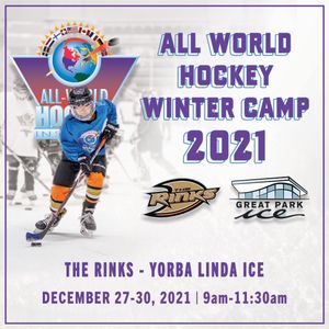 Image post by @the_rinks on Instagram
