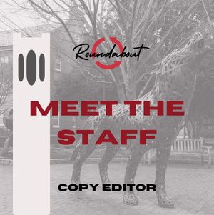 Image post by @ncsuroundabout on Instagram