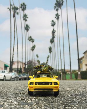 Image post by @asenseofhuber on Instagram