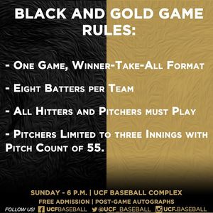 Image post by @ucf.baseball on Instagram