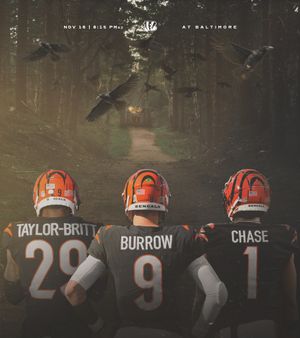 Image post by @bengals on Instagram
