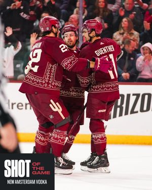 Image post by @arizonacoyotes on Instagram