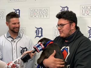 Image post by @ballysportsdet on Instagram