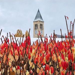 Image post by @cornellstudentlife on Instagram