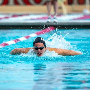 Image post by @gcu_swimdive on Instagram