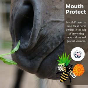 Image post by @firstbitequine on Facebook