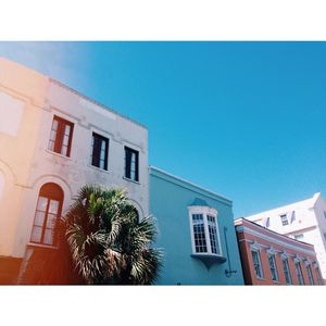 Image post by @collegeofcharleston on Instagram