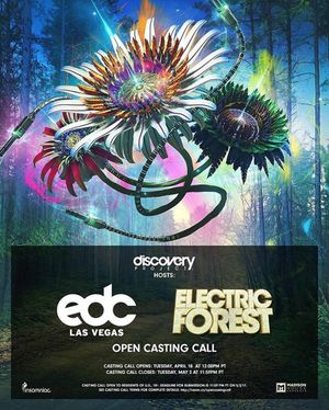 Image post by @edc_lasvegas on Instagram