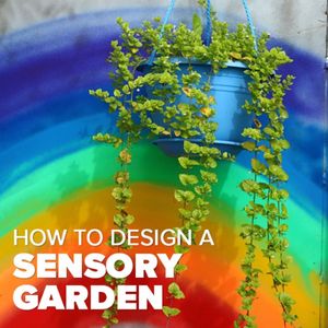 Image post by @kidsgardening on Instagram