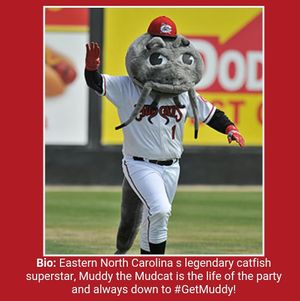 Image post by @carolinamudcats on Instagram