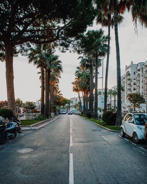 Image post by @havas on Instagram