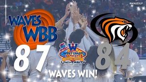 Image post by @pepperdinewbb on Instagram