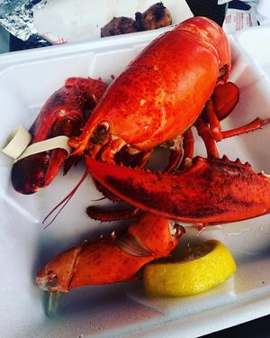 Image post by @seanmspicer on Instagram