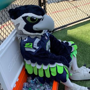 Image post by @blitztheseahawk on Instagram