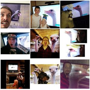 Image post by @robdyrdek on Instagram