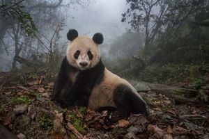 Image post by @natgeo on Instagram