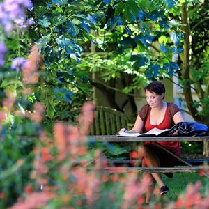 Image post by @seattleu on Instagram