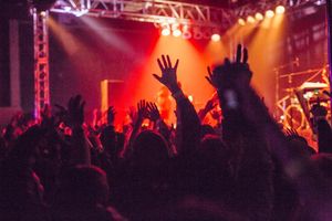 Image post by @treefortfest on Instagram