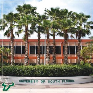 Image post by @usfathletics on Instagram