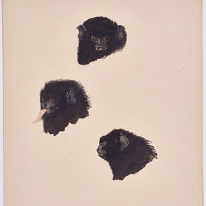 Image post by @drawingcenter on Instagram