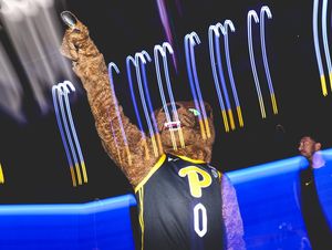 Image post by @rocthepanther on Instagram