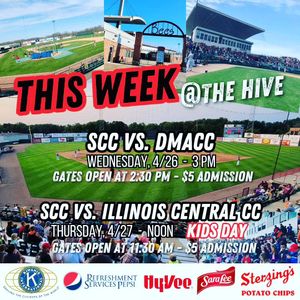 Image post by @burlington_bees on Instagram