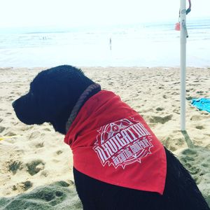Image post by @navigationbrewingco on Instagram