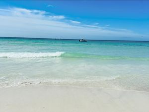 Image post by @visitsarasotacounty on Instagram