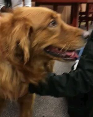 Image post by @nauflagstaff on Instagram