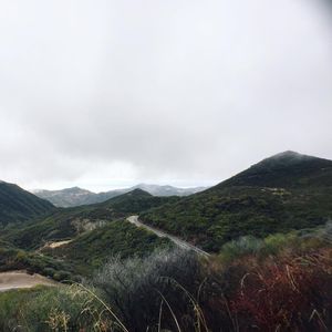 Image post by @zofeeagenota on Instagram
