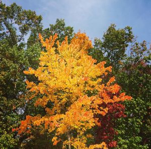 Image post by @umbclife on Instagram
