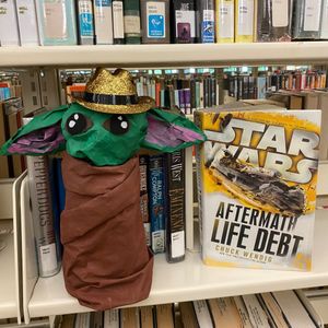 Image post by @stjohnscountylibrary on Instagram