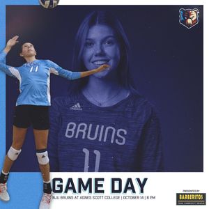 Image post by @bjubruins on Instagram