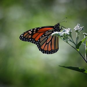 Image post by @tcpphotocle on Instagram