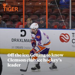 Image post by @thetigersports on Instagram