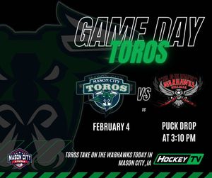 Image post by @masoncitytoros on Instagram