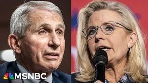 Video post by @msnbc on YouTube