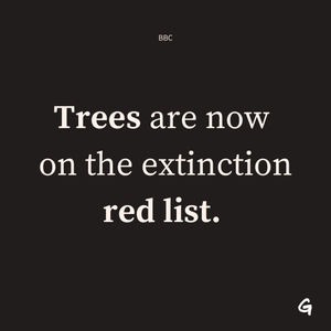 Image post by @Greenpeace on Twitter