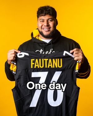 Image post by @steelers on TikTok