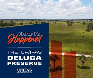 Image post by @UFIFASNews on Facebook