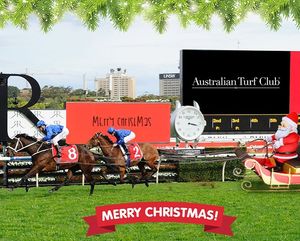 Image post by @australianturfclub on Instagram