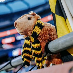 Image post by @columbuscrew2 on Instagram