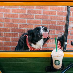 Image post by @starbucks on Instagram