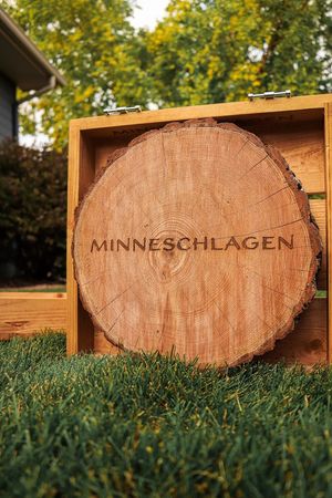Image post by @Minneschlagen on Facebook