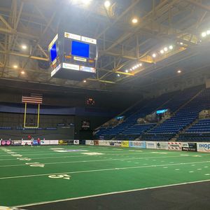 Image post by @jaxsharks on Instagram