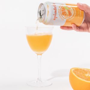 Image post by @drinkspindrift on Instagram