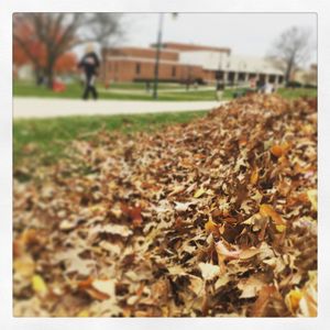 Image post by @shippensburgu on Instagram