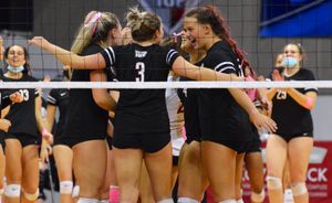 Image post by @iupvb on Twitter