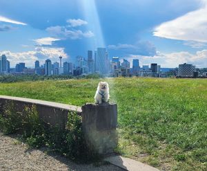 Image post by @cityofcalgary on Instagram